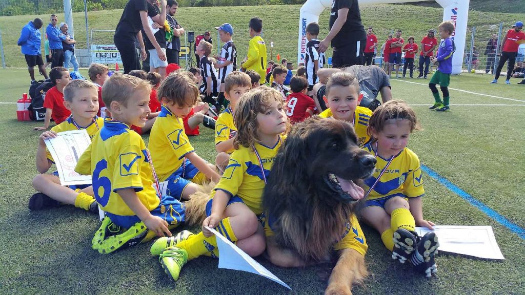 SC Nansais – Club de Football de Nans-les -Pins – Var (83)